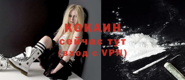 mdpv Богородицк