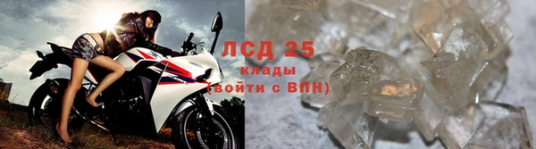 мдпв Тайга