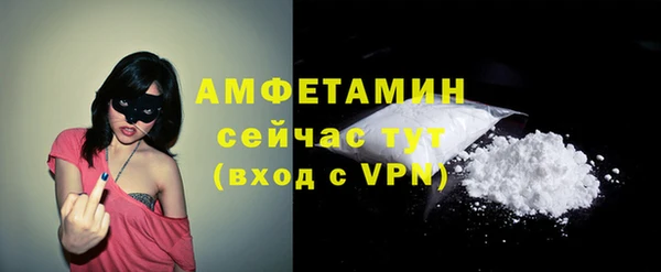 сатива Богданович