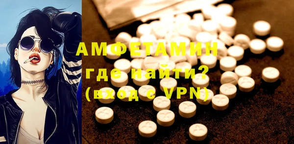 индика Бронницы