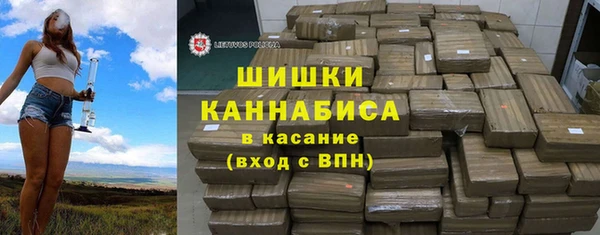сатива Богданович