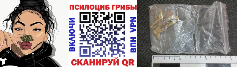 блэк спрут сайт  Боготол  Галлюциногенные грибы Cubensis 